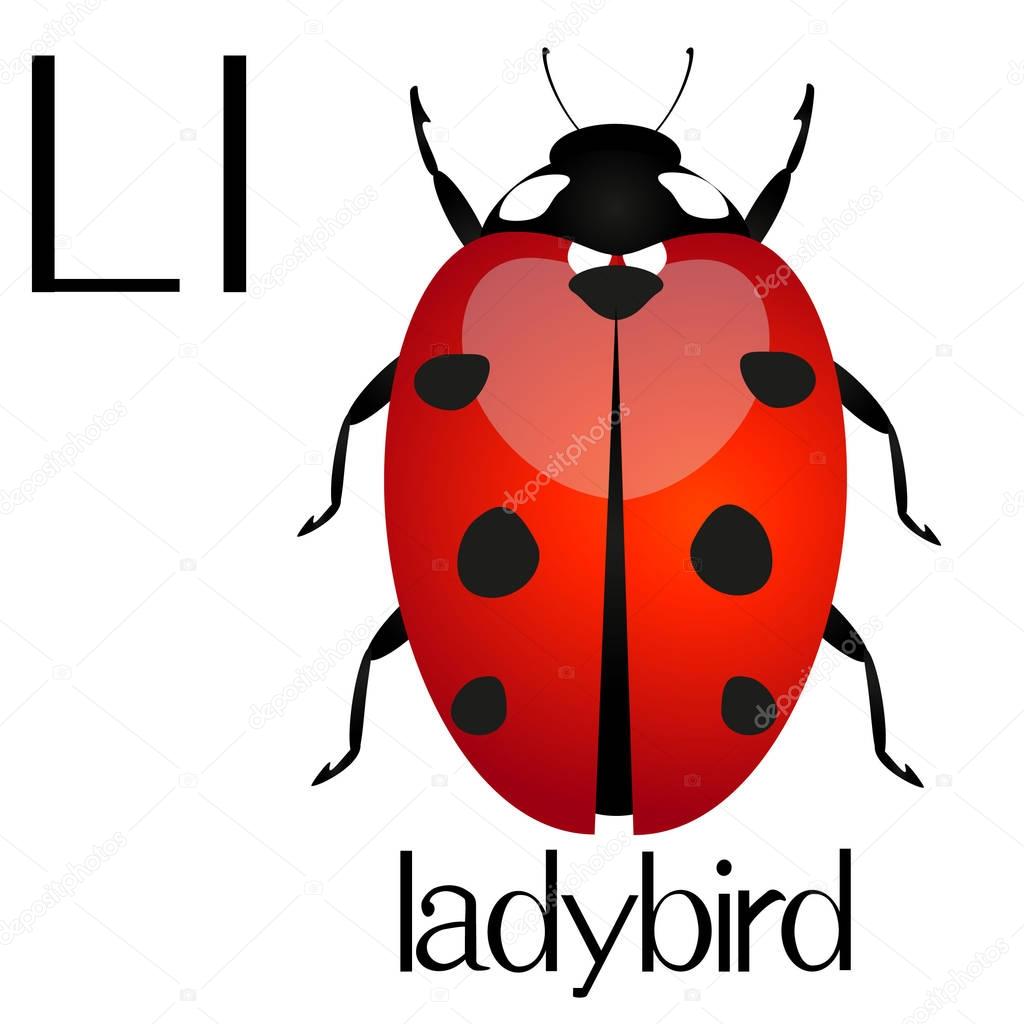 Sounds Lessons Blendspace Sounds Lessons Blendspace
