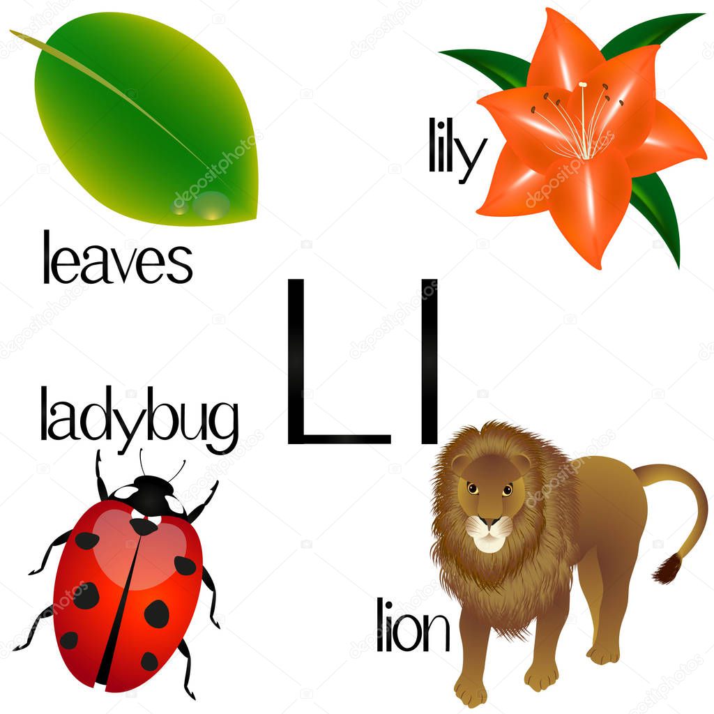 Imagenes Con La Letra F En Ingles