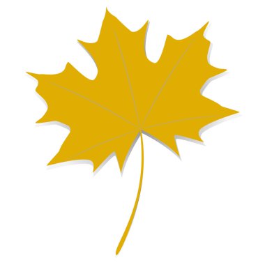 Sarı akçaağaç yaprağı.