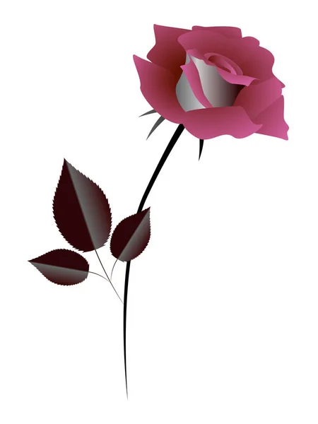 Rose, élément design . — Image vectorielle