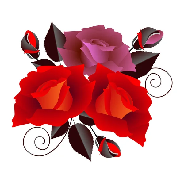Bouquet of roses, on a white background. — Stock Vector