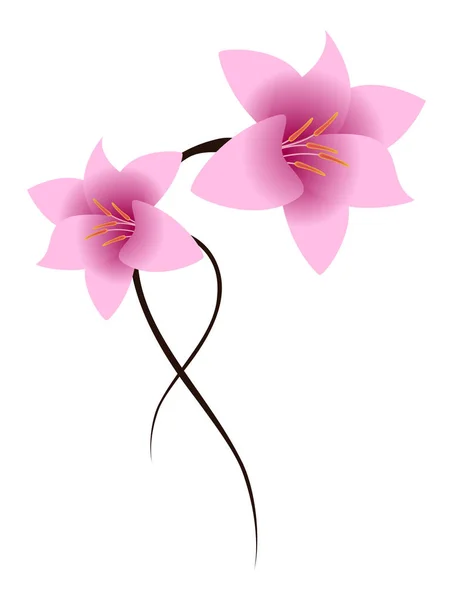 Квітковий фон з ліліями . — стоковий вектор