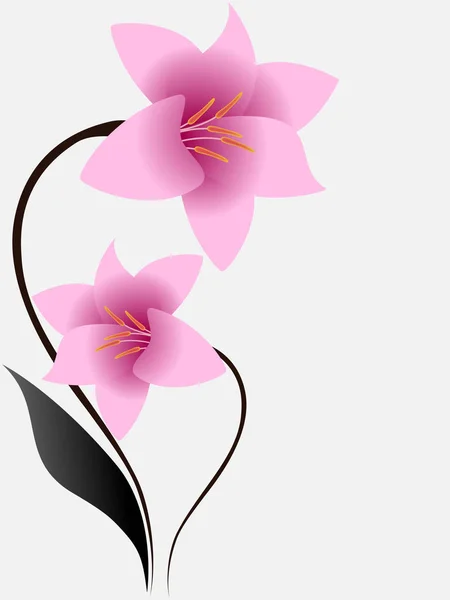 Fondo floral con lirios rosados . — Vector de stock