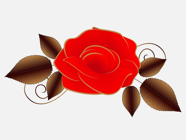 Floral background with a red rose. — Stock Vector
