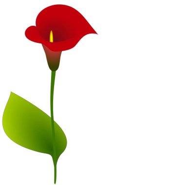  Calla, tasarım öğesi ile arka plan.