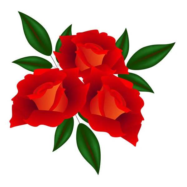Bukett med rosor och blad på en vit bakgrund. — Stock vektor