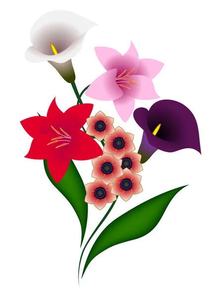 Bouquet of lily. — Stock Vector