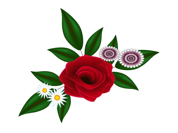 Red rose with daisies on a white background. — Stock Vector