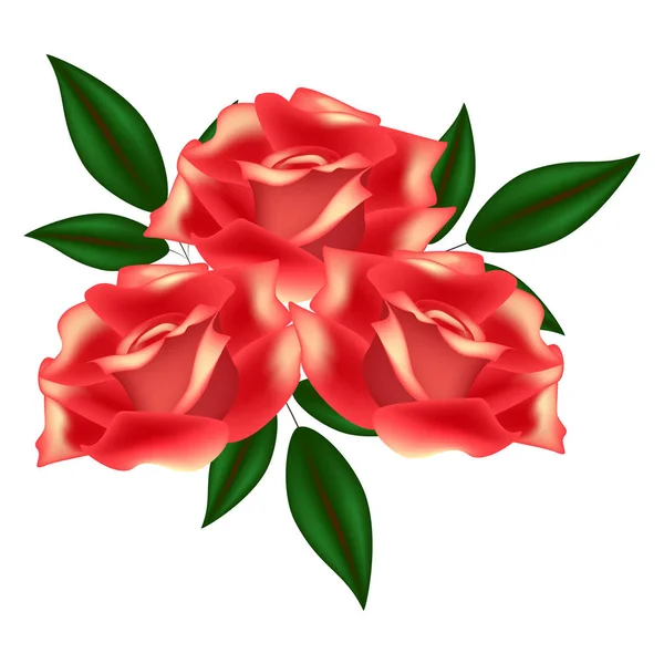 Floral φόντο με τριαντάφυλλα και τα φύλλα. — Διανυσματικό Αρχείο
