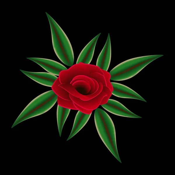 红玫瑰与黑上的叶子. — 图库矢量图片