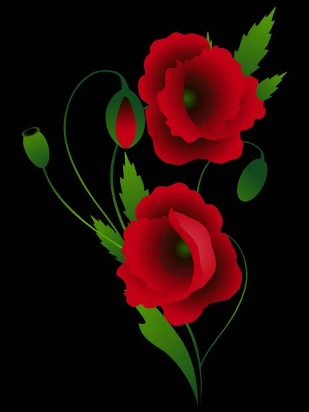 在黑色背景上罂粟花的花束. — 图库矢量图片