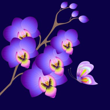 Orkide ve kelebek çiçek arka plan.