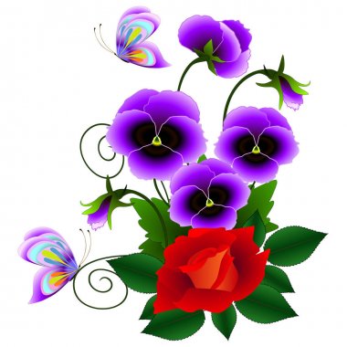 Güller ve beyaz bir arka plan üzerinde kelebekler ile Hercai Menekşe.