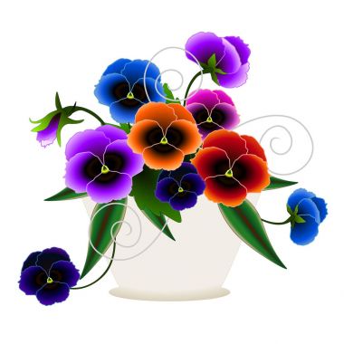 bir tencerede homo çiçekler.