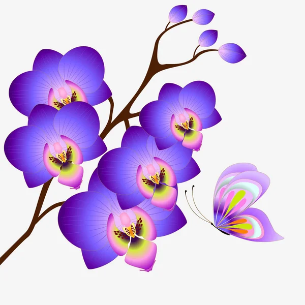 Цветочный фон с орхидеями и бабочкой, элемент дизайна . — стоковый вектор