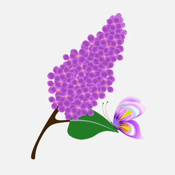 Fondo floral con rama lila y mariposa . — Vector de stock