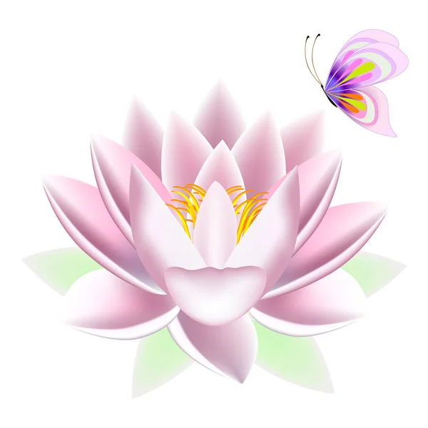 Lotus with a butterfly. — Stock Vector