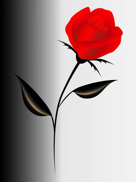 Fondo con una rosa roja . — Archivo Imágenes Vectoriales