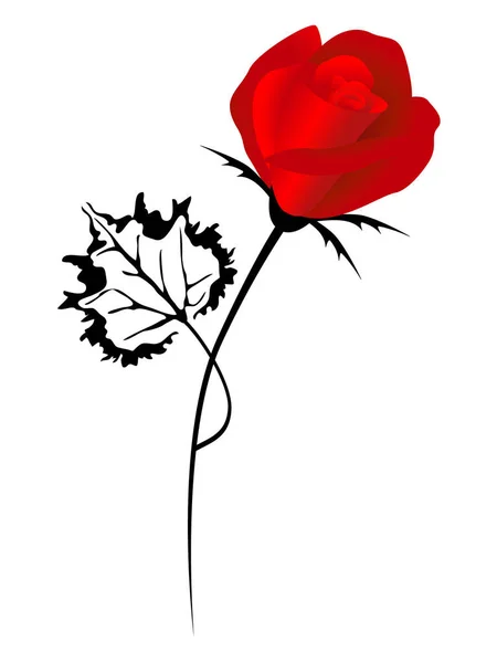 Rosa roja sobre fondo blanco, elemento para el diseño . — Vector de stock