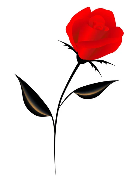 Κόκκινο τριαντάφυλλο, στοιχείο για το σχεδιασμό. — Διανυσματικό Αρχείο