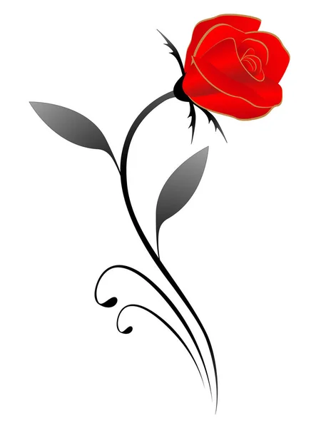 Vörös rózsa, design. — Stock Vector