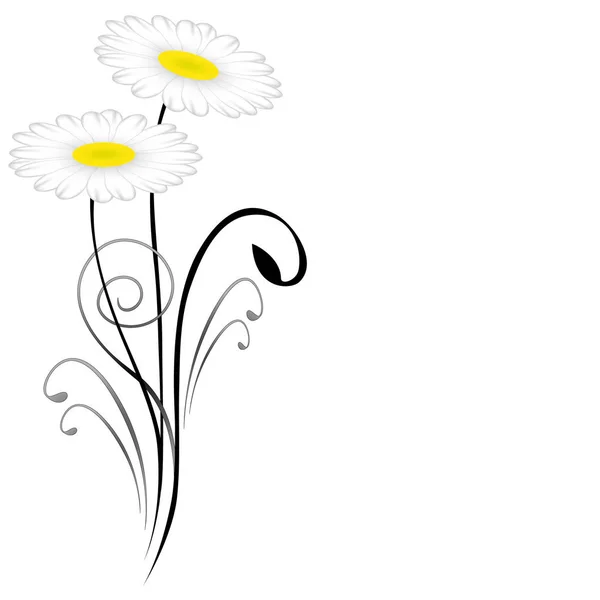 Květinové pozadí s sedmikrásky. — Stockový vektor
