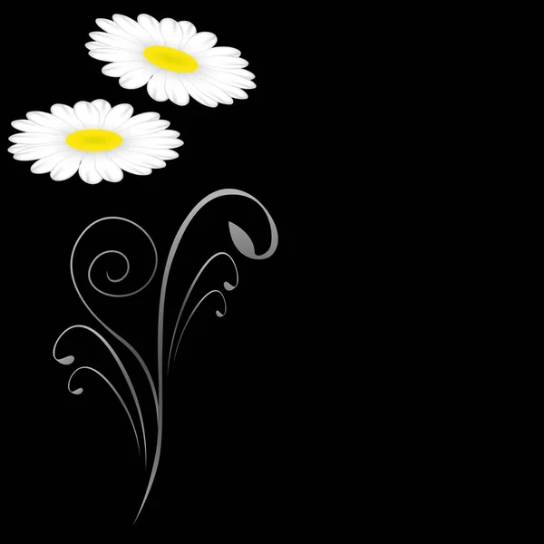 Daisies on a black background, design element. — Stock Vector