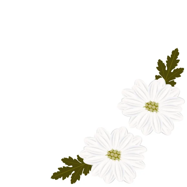 Květinové pozadí s chamomiles, designový prvek. — Stockový vektor