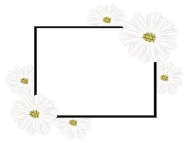 Çiçek papatya ile çerçeve çiçek.