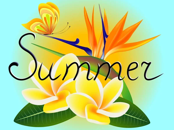 Banner de verano con frangipani (Plumeria) con una flor paradisíaca y una mariposa . — Vector de stock
