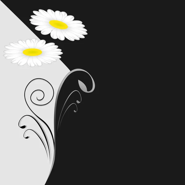 Illustration d'un fond floral noir et blanc avec un bouquet de fleurs marguerite . — Image vectorielle