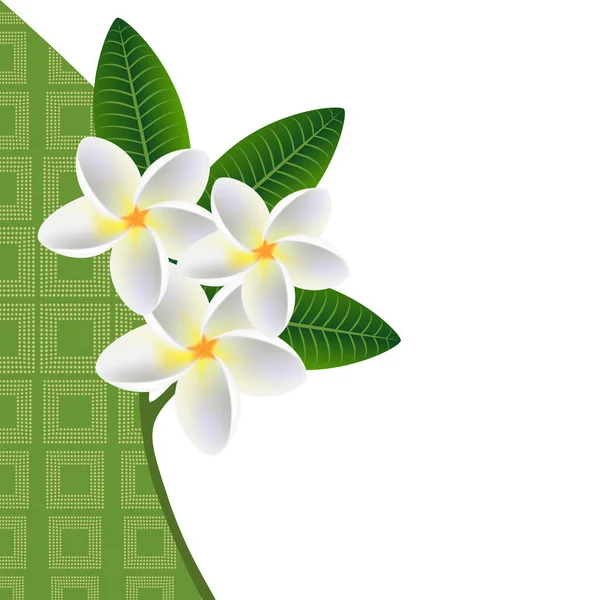 Illustration d'un fond floral avec un brin de plumeria frangipani (Plumeria) avec des feuilles . — Image vectorielle