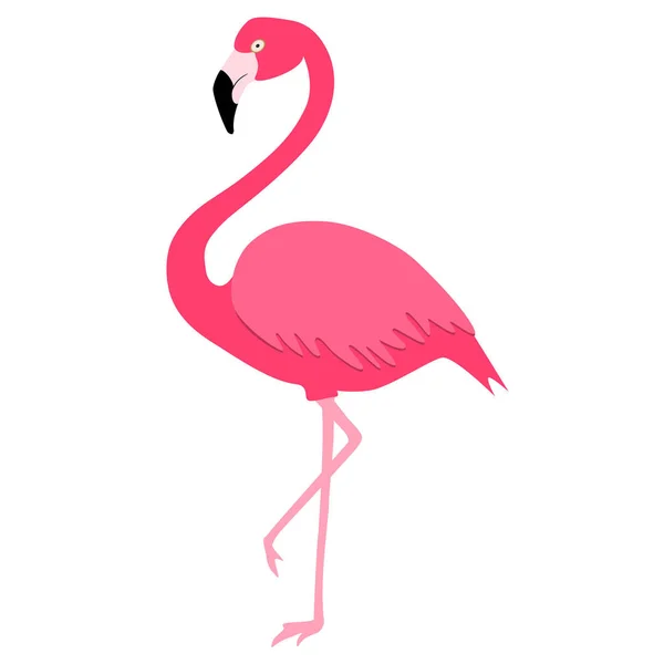 粉红色的火烈鸟，一条腿上. — 图库矢量图片