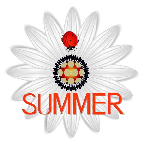 Icono de verano con margarita abstracta una mariquita roja sobre un fondo blanco . — Vector de stock