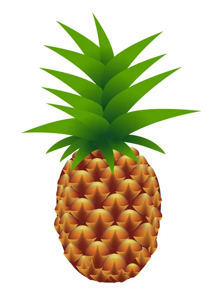 Piña. Frutas tropicales de verano . — Vector de stock