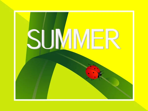 Banner de verano, mariquita sobre una hoja verde con una gota de agua . — Vector de stock
