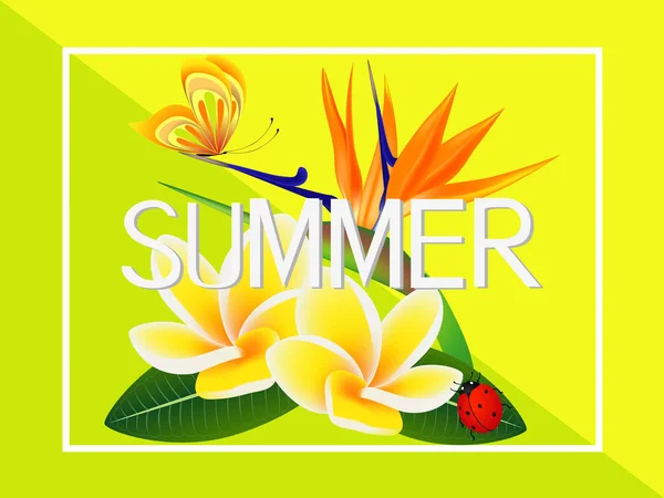 Banner de verano, frangipani (Plumeria) con una flor paradisíaca y una mariposa . — Vector de stock