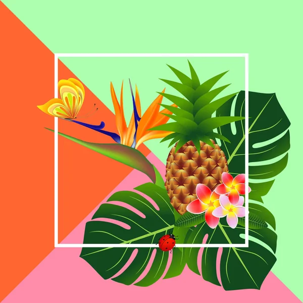 Bannière d'été tropicale. — Image vectorielle