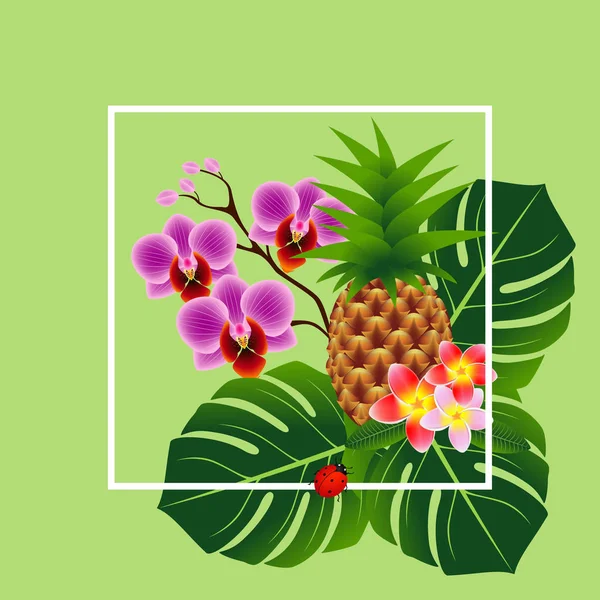 Sommaren banner, tropiska blommor och blad, på en grön bakgrund. — Stock vektor