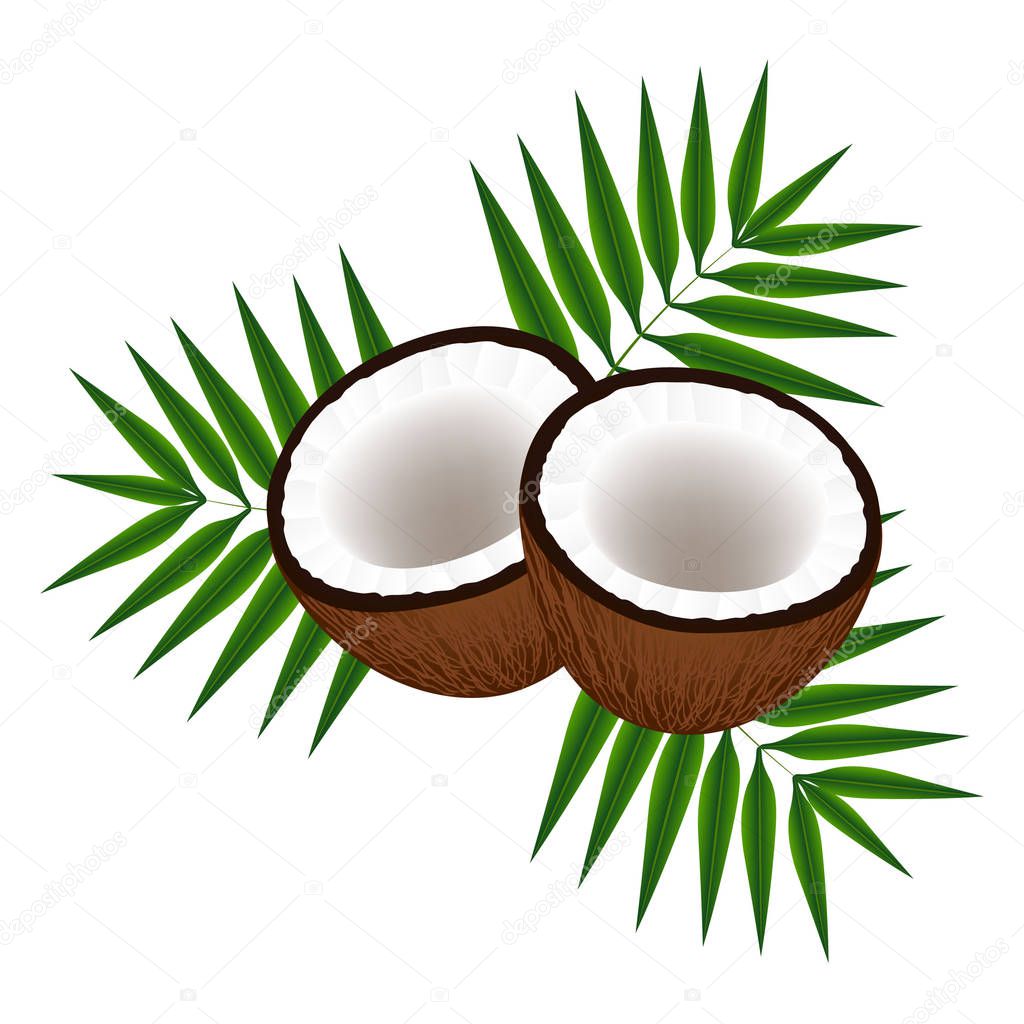 Coconuts with leaves.