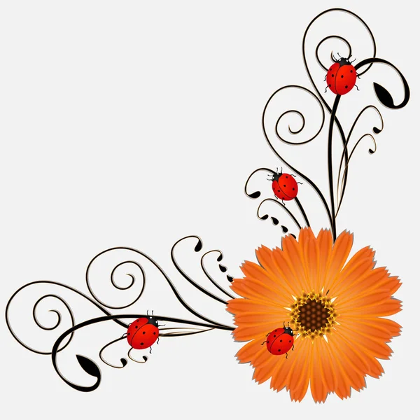 Corner with calendula and ladybirds on a white background. — Stock Vector