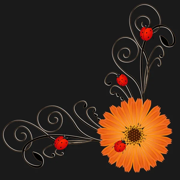 Sarok, körömvirág virág egy piros katicabogarak, egy fekete háttér. — Stock Vector