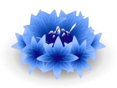 Beyaz zemin üzerinde mavi Peygamber Çiçeği.