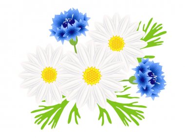 Papatya beyaz zemin üzerine mavi Peygamber ile.