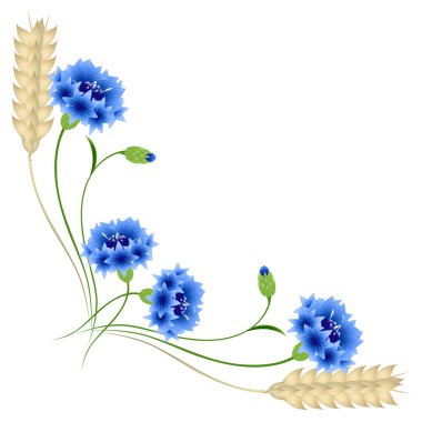 Beyaz zemin üzerinde mavi Peygamber ve buğday kulakları ile köşe.