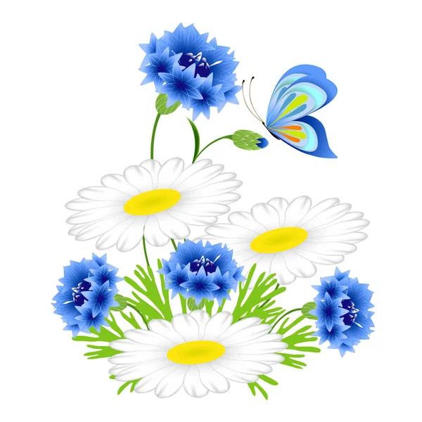 Blaue Kornblumen und Kamillen mit einem Schmetterling auf weißem Hintergrund. — Stockvektor