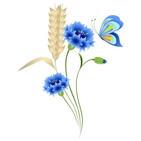 Blaue Kornblumen und Weizenähren mit einem Schmetterling auf weißem Hintergrund. — Stockvektor