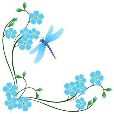 Mavi köşe unut beni değil çiçek ve yusufçuk beyaz bir arka plan üzerinde.