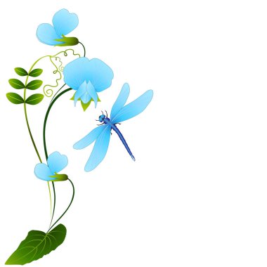 Yusufçuk beyaz zemin üzerine mavi bezelye çiçeklerle.