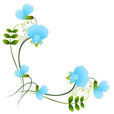 Beyaz zemin üzerine mavi bezelye çiçekli köşe.